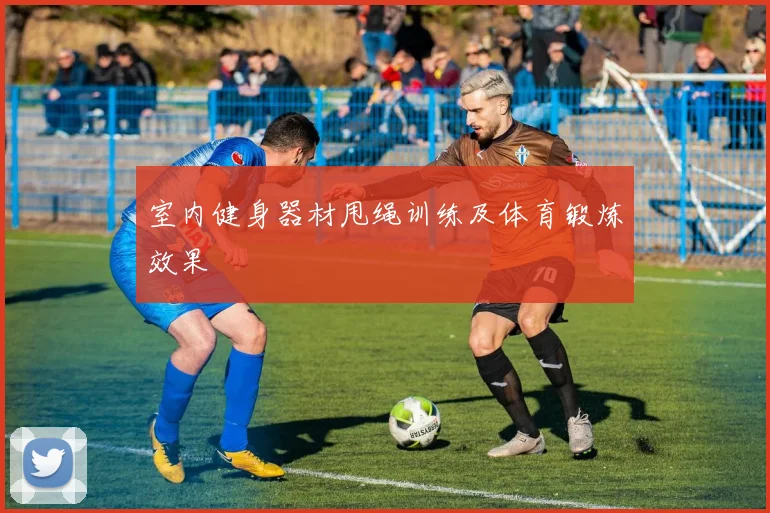 室内健身器材甩绳训练及体育锻炼效果