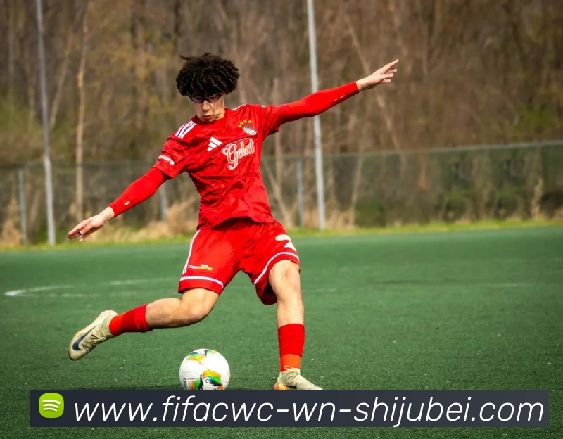 世界杯直播平台生态图