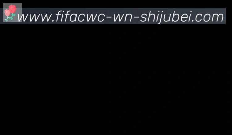 世界杯直播合作伙伴