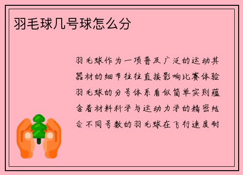 羽毛球几号球怎么分