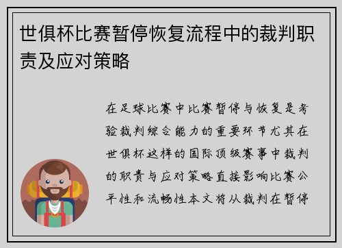 世俱杯比赛暂停恢复流程中的裁判职责及应对策略